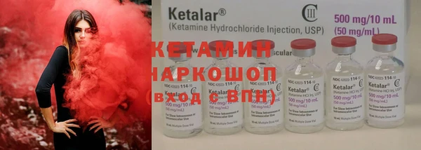 шишки Богородицк
