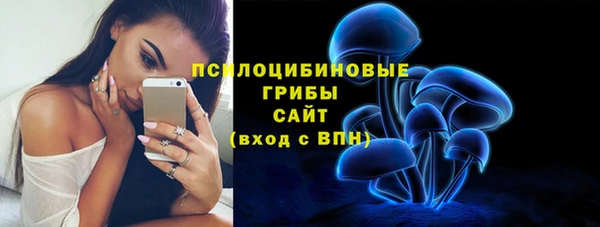 шишки Богородицк