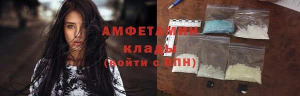 шишки Богородицк
