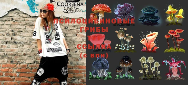 шишки Богородицк