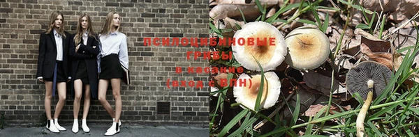 трава Богданович