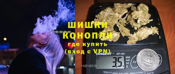 шишки Богородицк