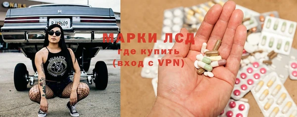 шишки Богородицк