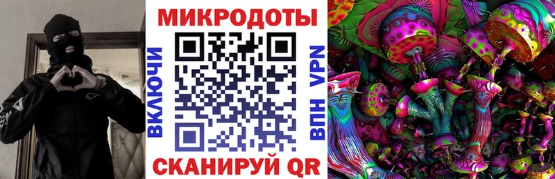 купить наркотики сайты  ссылка на мегу сайт  Галлюциногенные грибы Cubensis  Велиж 